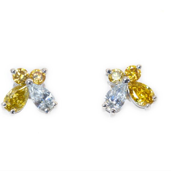 עגילי פרפר זהב לבן -DIANOCHE